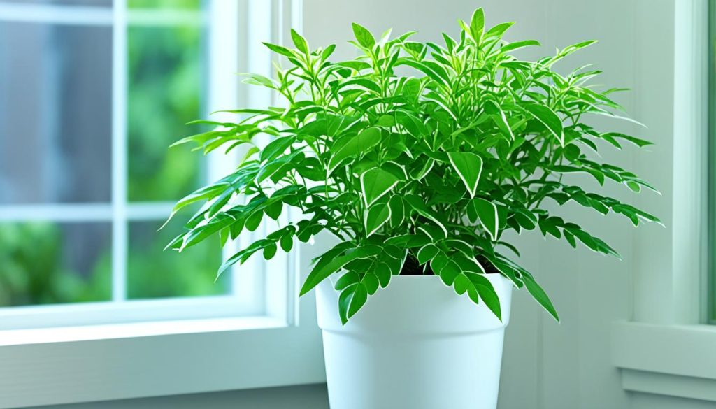 indoor plant pest control